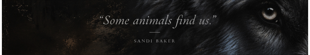 A banner with a black wolf showing one eye looking at the viewer, there is text tht says 'some animals find us' - sandi baker